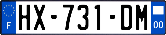 HX-731-DM