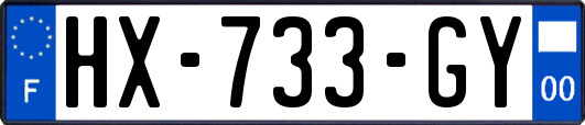 HX-733-GY