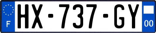 HX-737-GY