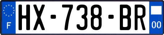 HX-738-BR