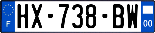 HX-738-BW