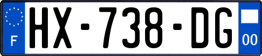 HX-738-DG