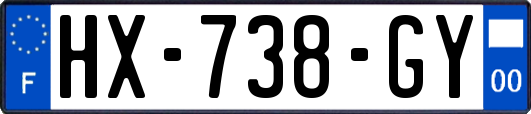 HX-738-GY