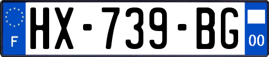 HX-739-BG