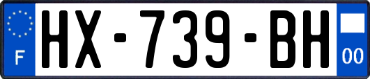 HX-739-BH