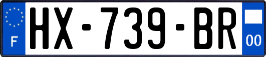 HX-739-BR