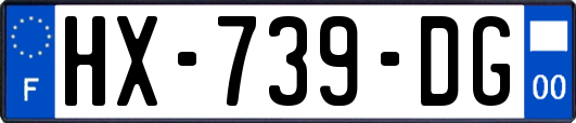 HX-739-DG