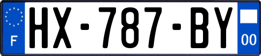 HX-787-BY