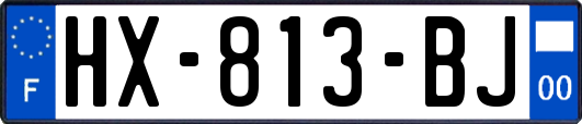 HX-813-BJ