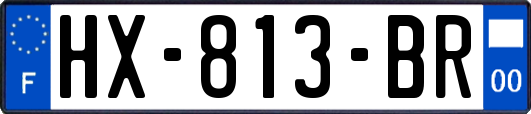 HX-813-BR