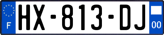 HX-813-DJ