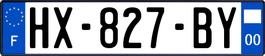 HX-827-BY