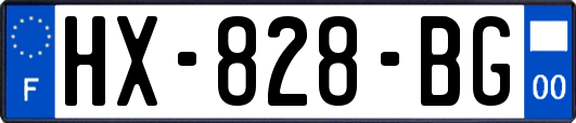 HX-828-BG