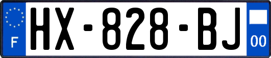 HX-828-BJ