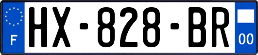 HX-828-BR