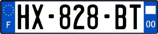 HX-828-BT