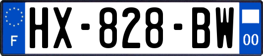 HX-828-BW