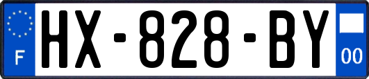 HX-828-BY