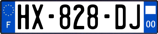 HX-828-DJ