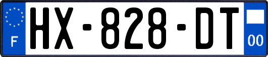 HX-828-DT