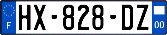 HX-828-DZ