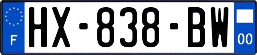 HX-838-BW