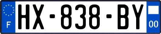 HX-838-BY