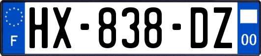 HX-838-DZ