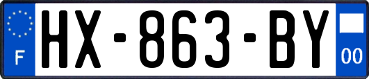 HX-863-BY