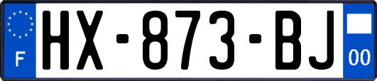 HX-873-BJ
