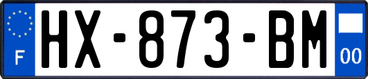 HX-873-BM