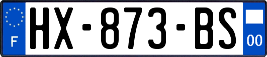 HX-873-BS