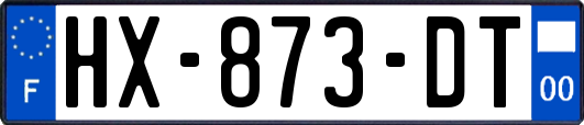 HX-873-DT