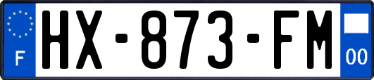 HX-873-FM