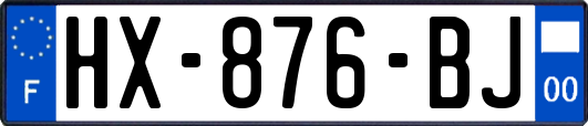 HX-876-BJ