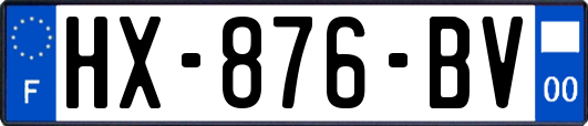 HX-876-BV