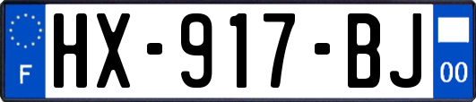 HX-917-BJ
