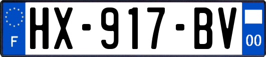 HX-917-BV