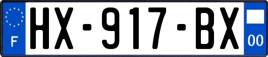HX-917-BX