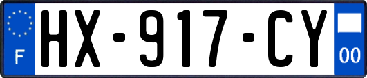 HX-917-CY