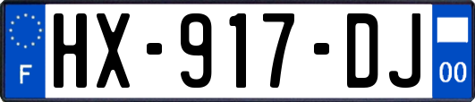 HX-917-DJ