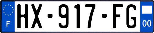 HX-917-FG