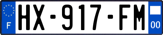 HX-917-FM