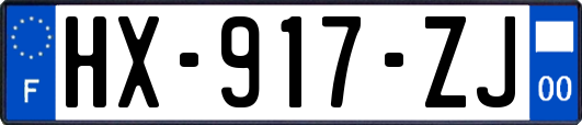 HX-917-ZJ