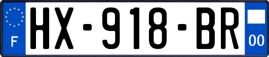 HX-918-BR