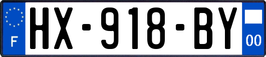 HX-918-BY
