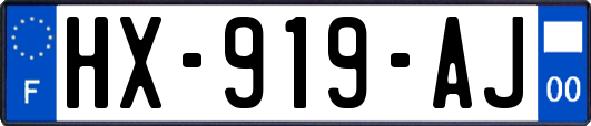 HX-919-AJ