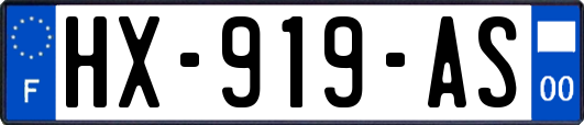 HX-919-AS