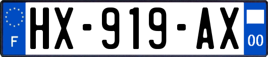 HX-919-AX