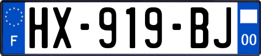 HX-919-BJ